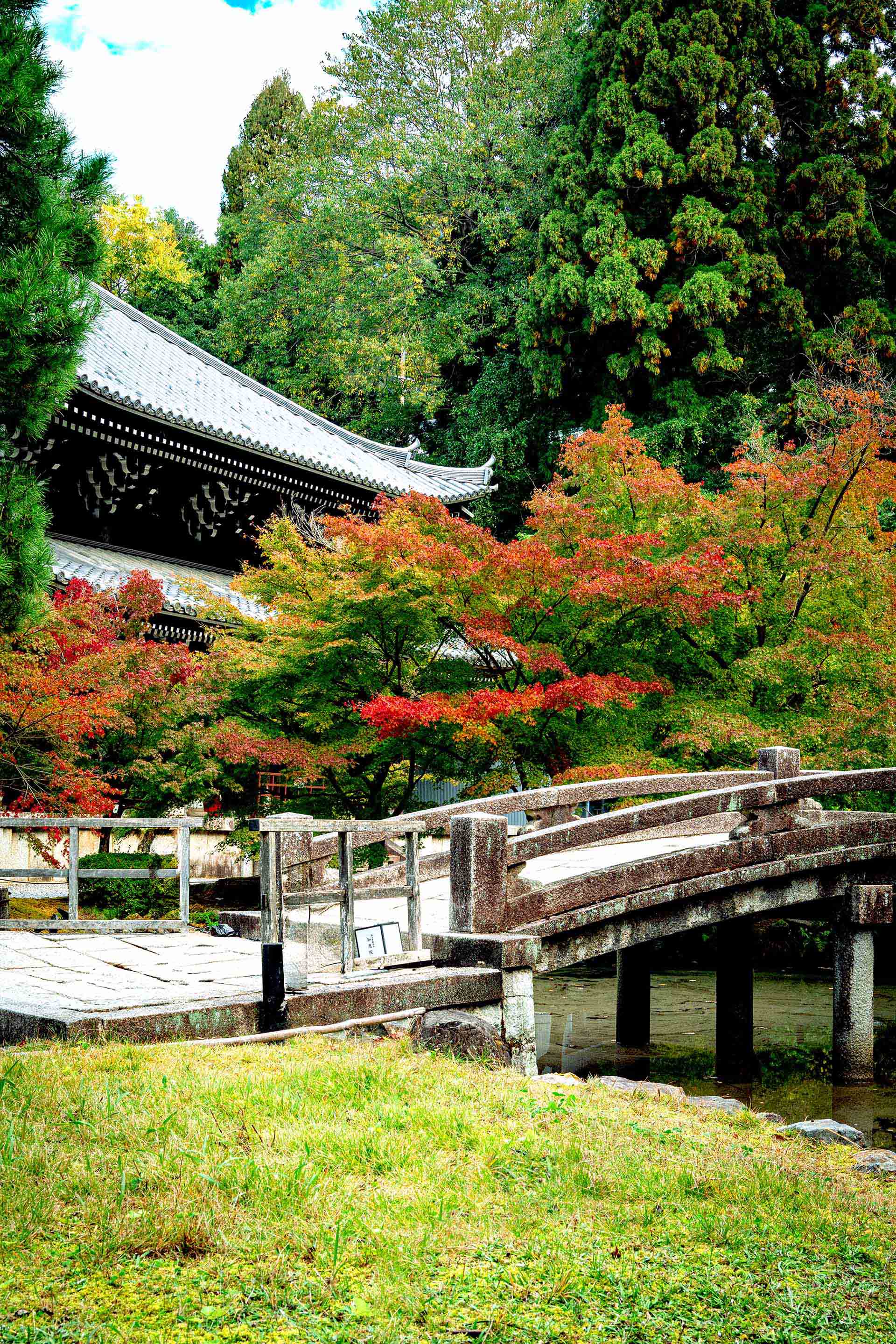 ECサイトのカゴ落ちを防ぐ！AIチャットボット活用術