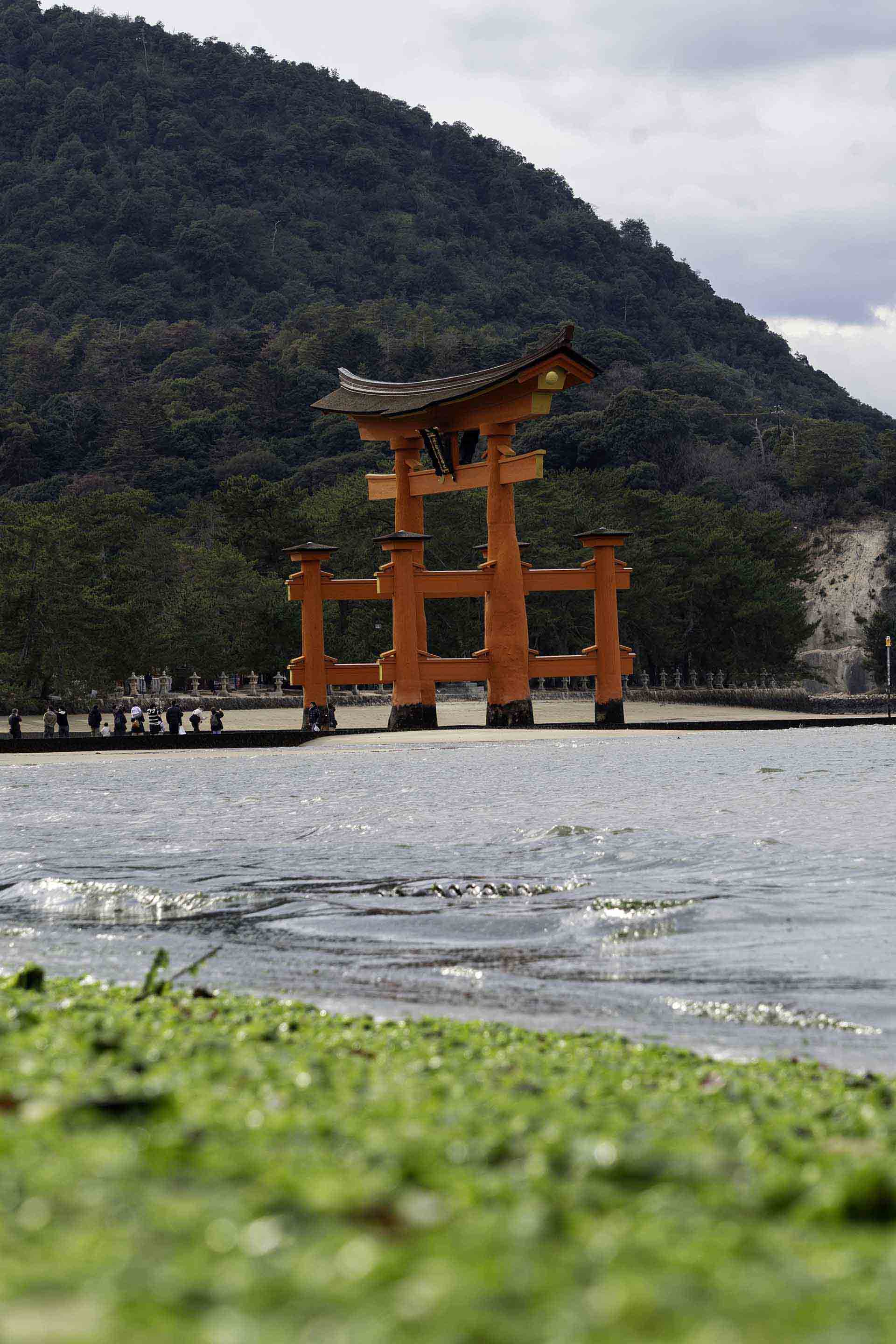 「同じ質問に何度も答える」をゼロに！AIチャットボット活用術