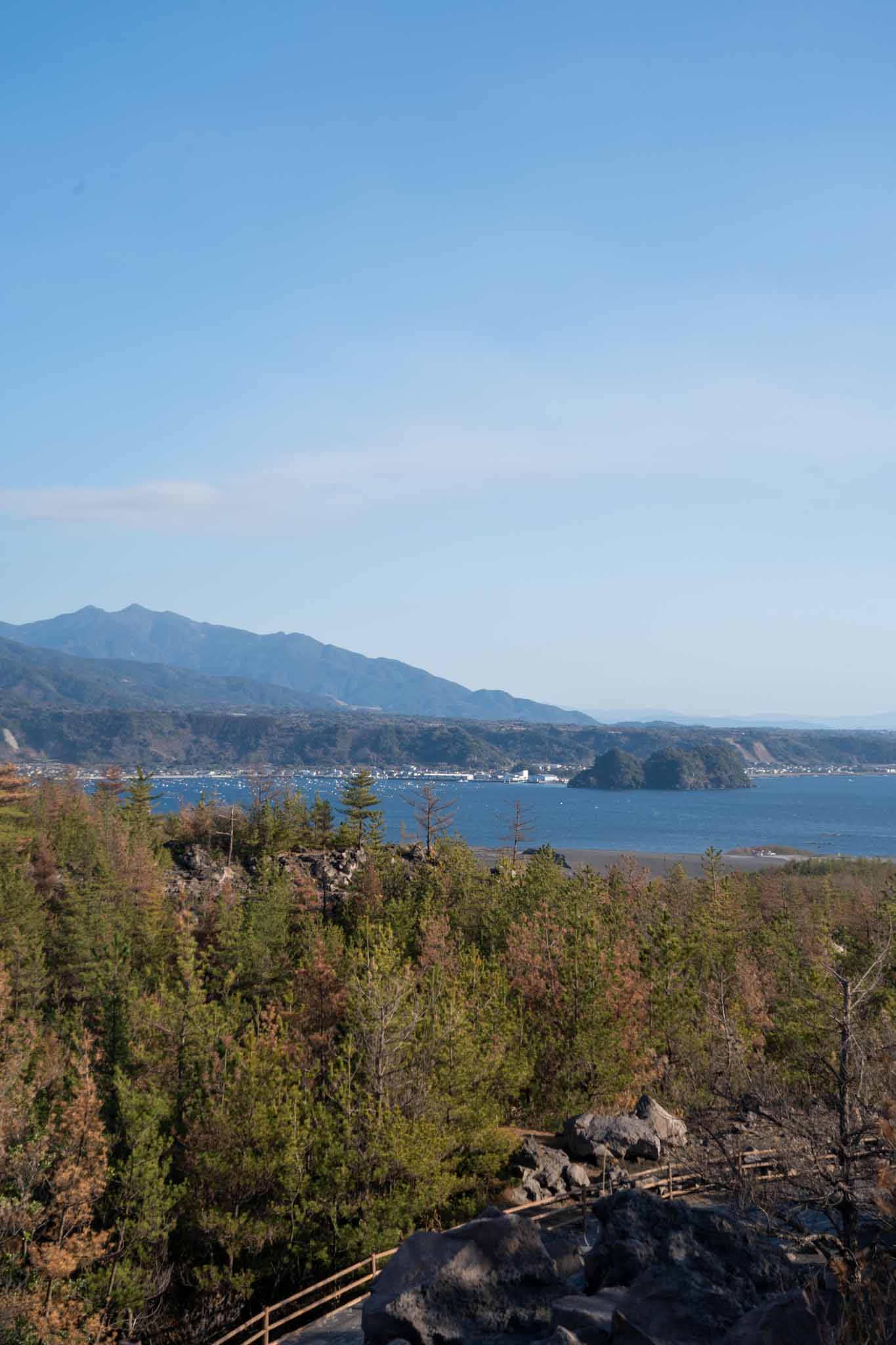 不動産会社がAIチャットボットで内見予約を3倍にした秘訣